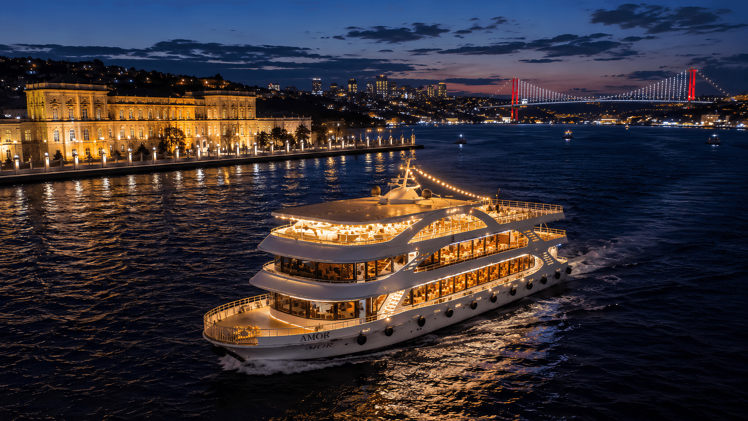 Tour: Bosphorus Night Dinner Cruise — Show, Live Music & Private Table